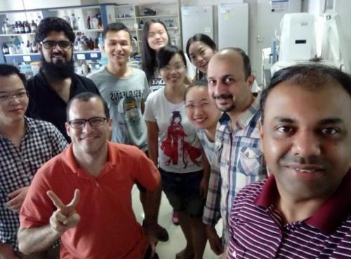 phd fellows